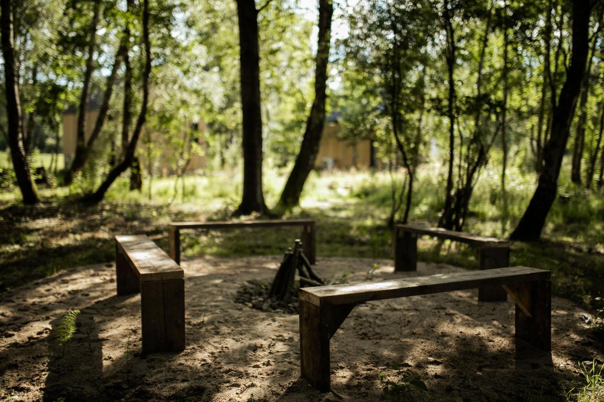 Park Ciekocino